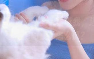 有没有人告诉我，进入155吃瓜网的视频怎么搞？