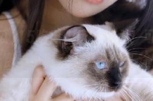 15吃瓜入口，慎入！可能会让你花费半小时在刷八卦的正途上！