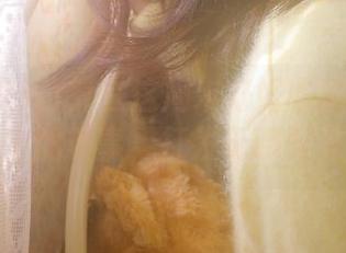 打算在这周末好好收藏177.sk上的糗事，打发无聊时光
