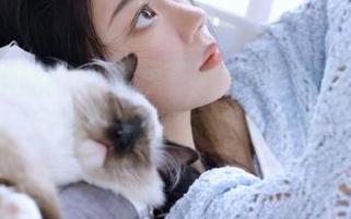在线查找51朝阳群众吃瓜网网址，保证你不迷路哦！