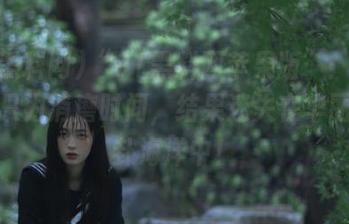 “91黑料网苹果版”:我来这里只为消磨时间,结果迷失在华丽的八卦海洋中!