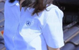 吃瓜大全的提前收藏秘籍——体会免费观看的那种爽!