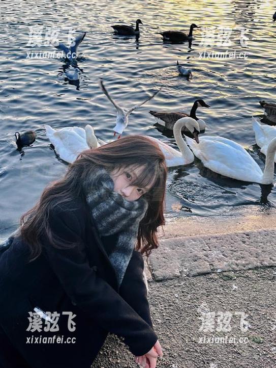 看着吃瓜大全的免费观看，让我觉得都是童话。
