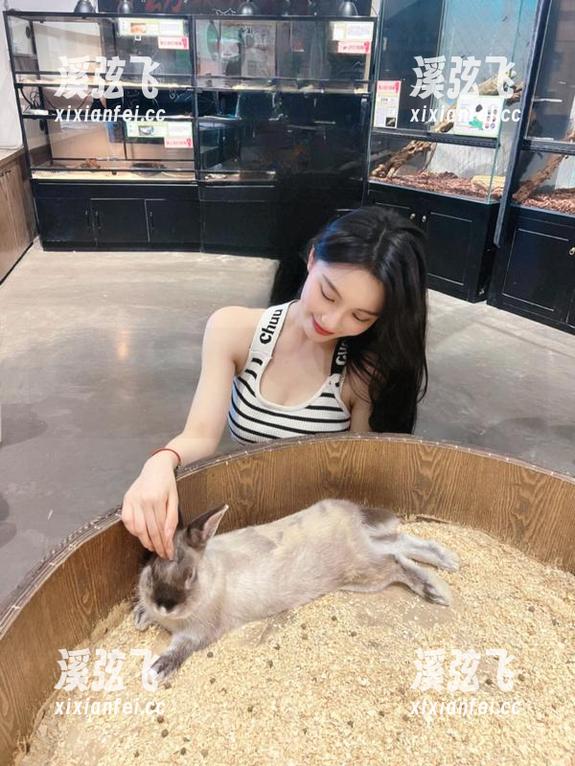 911吃瓜黑料社：直达你的追剧痛点，真是太魔性了！