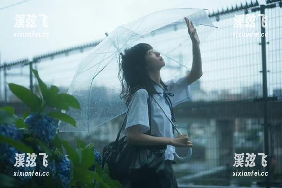 永不迷路！在“国产黑料”的漩涡中随意飘～