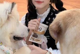 每日黑料：走，带你探探神秘的八卦线路！