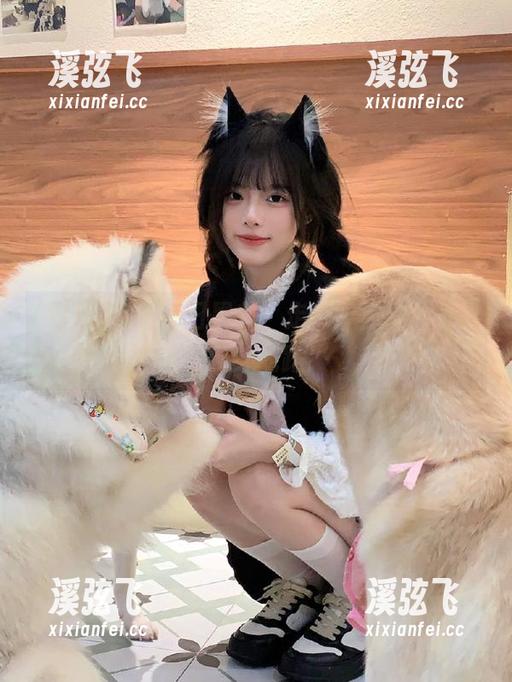 每日黑料：走，带你探探神秘的八卦线路！