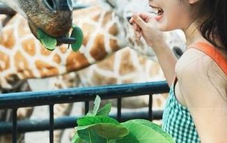 请求“黑料正能量zzzttt”官网的传送门，期待见到更新更猛的瓜！