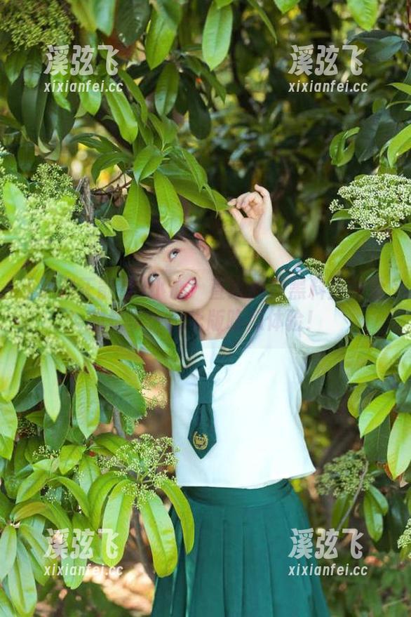 小心！直达抖音黑料正能量的快车，豪华版吃瓜体验！